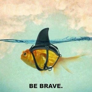 Meet your Posher, Laneka